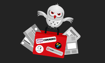 How to Make a WordPress Website: The Design Dilemma