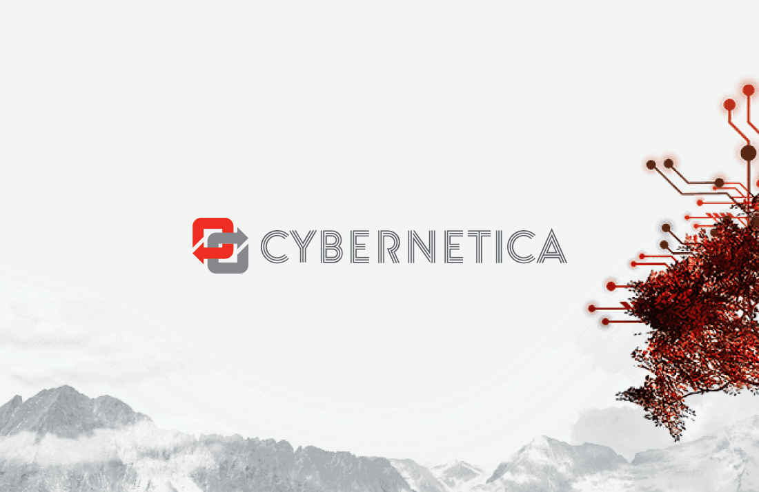 Cybernetica