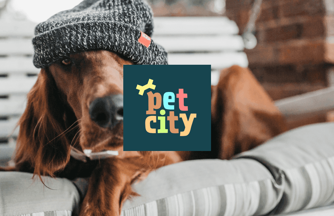 PetCity